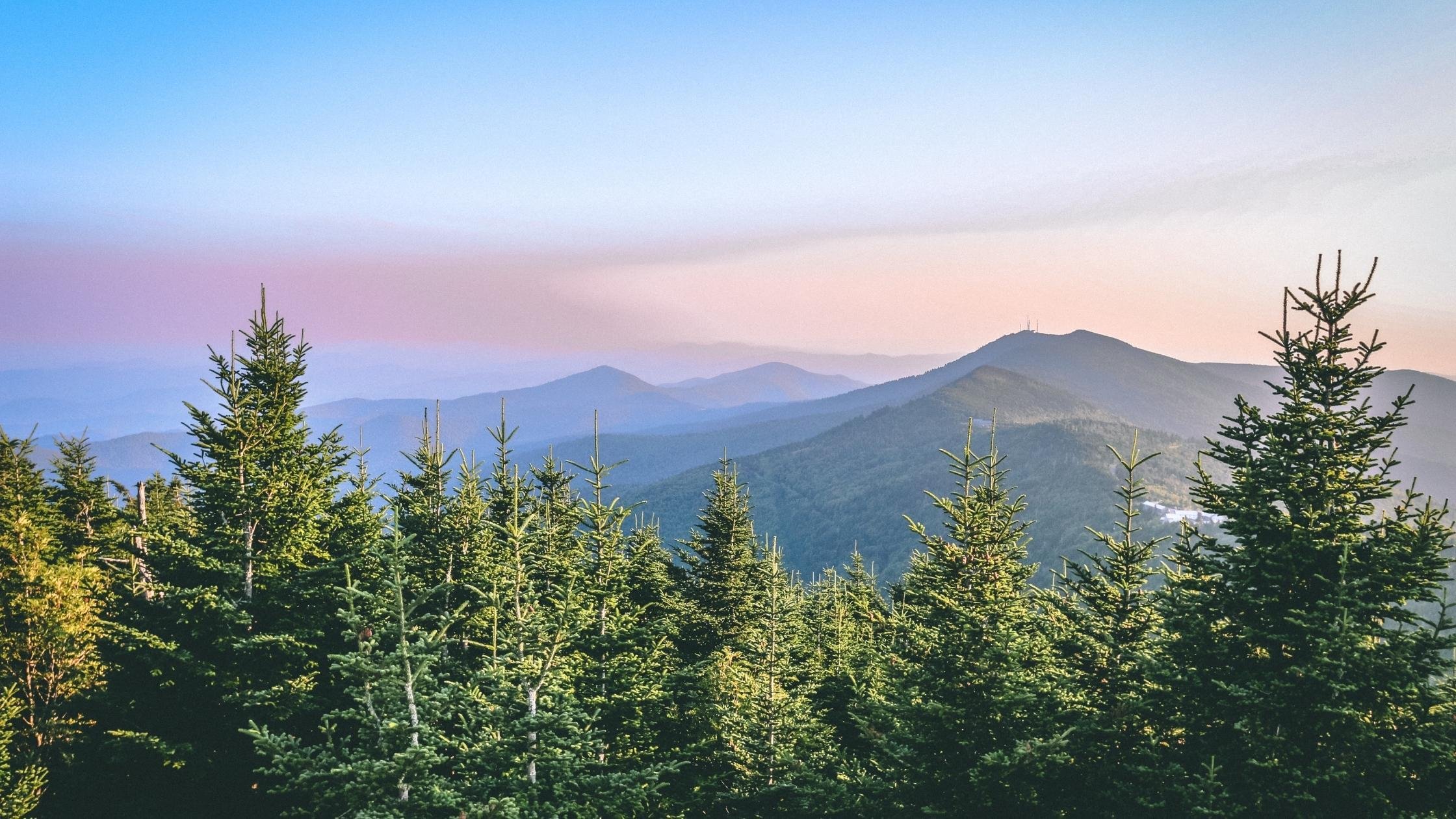 blue ridge mountains at sunrise in asheville nc (1)