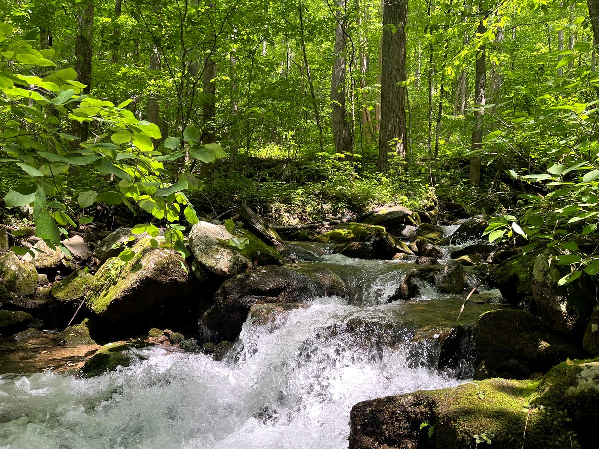 Natural mountain stream on WNC lot — water access and drainage context, Kaizen Homes
