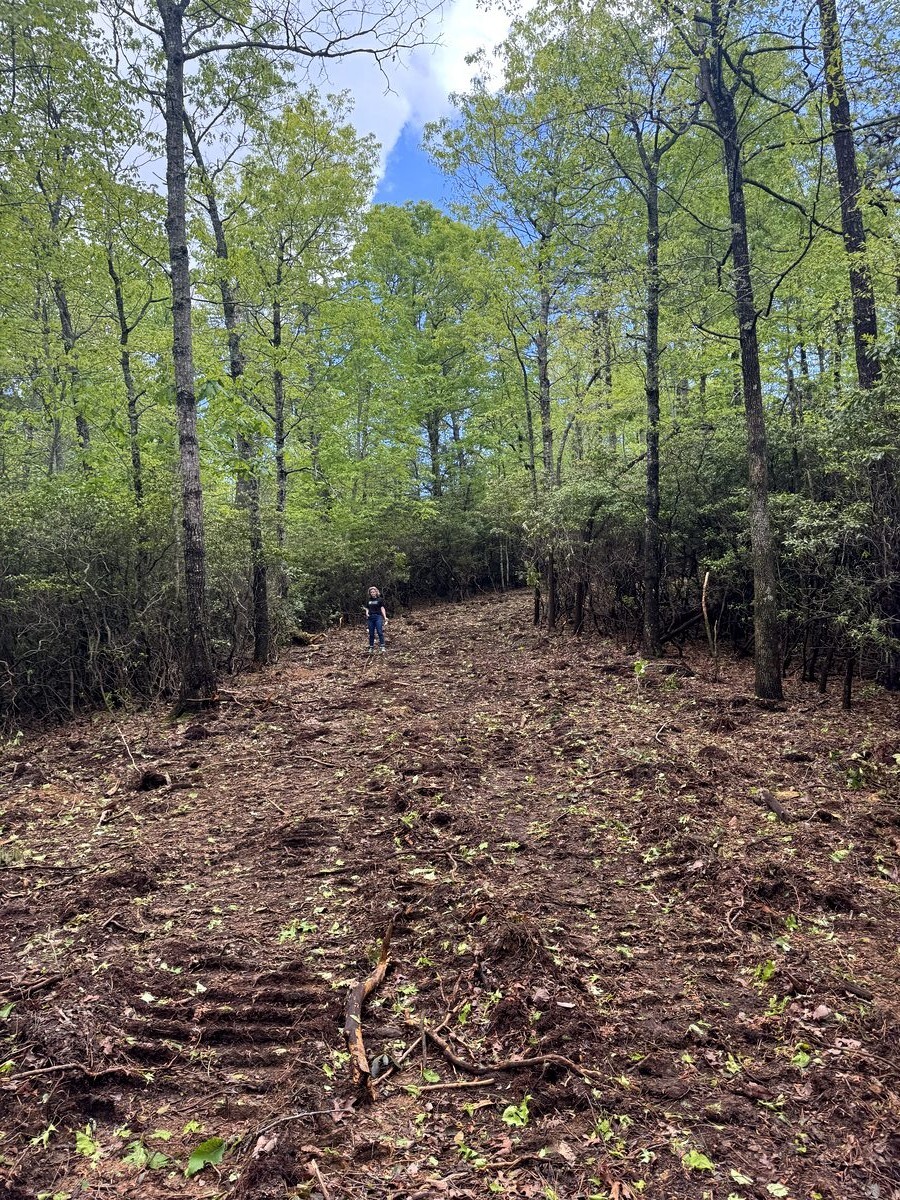 150+ LF mountain driveway cleared and cut on WNC lot — Kaizen Homes site access work